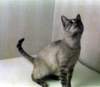 photo11_small.jpg
