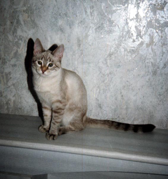 photo12.jpg