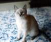 photo15_small.jpg