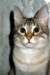 photo17_small.jpg