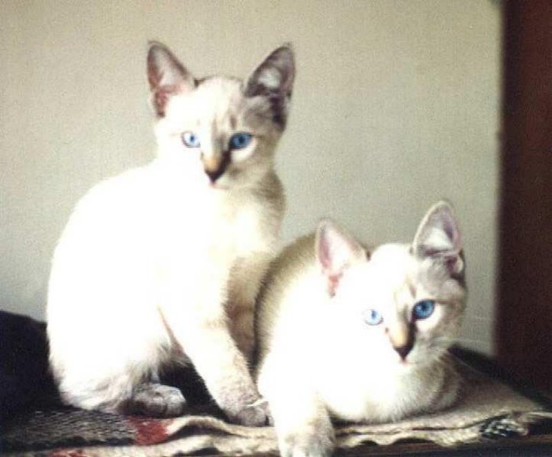 photo21.jpg