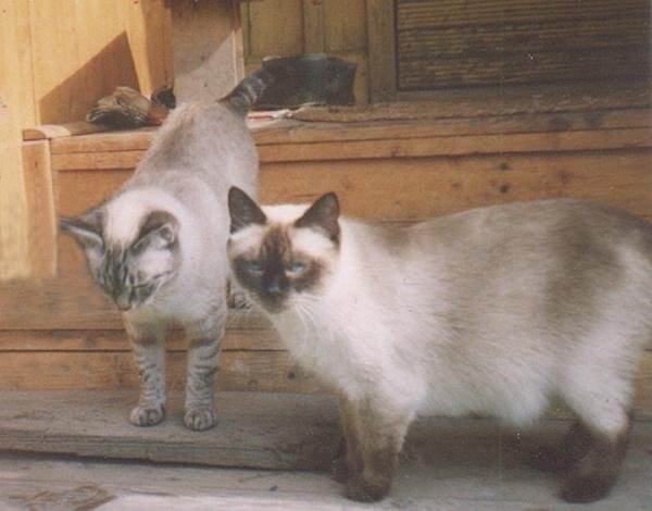 photo24.jpg