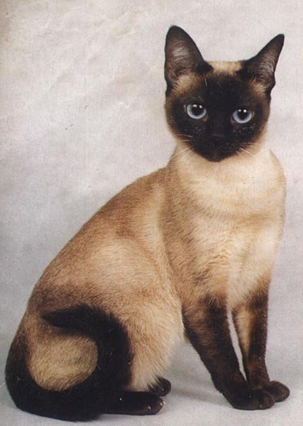 photo27.jpg